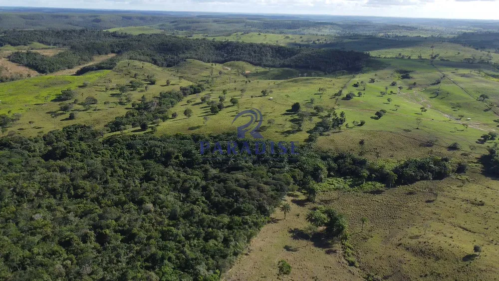 Fazenda, 975 hectares - Foto 10