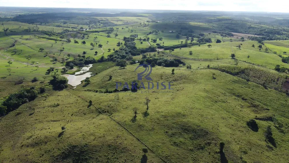 Fazenda, 975 hectares - Foto 9