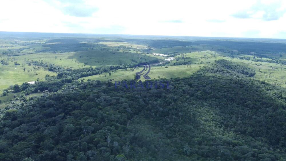 Fazenda, 975 hectares - Foto 3