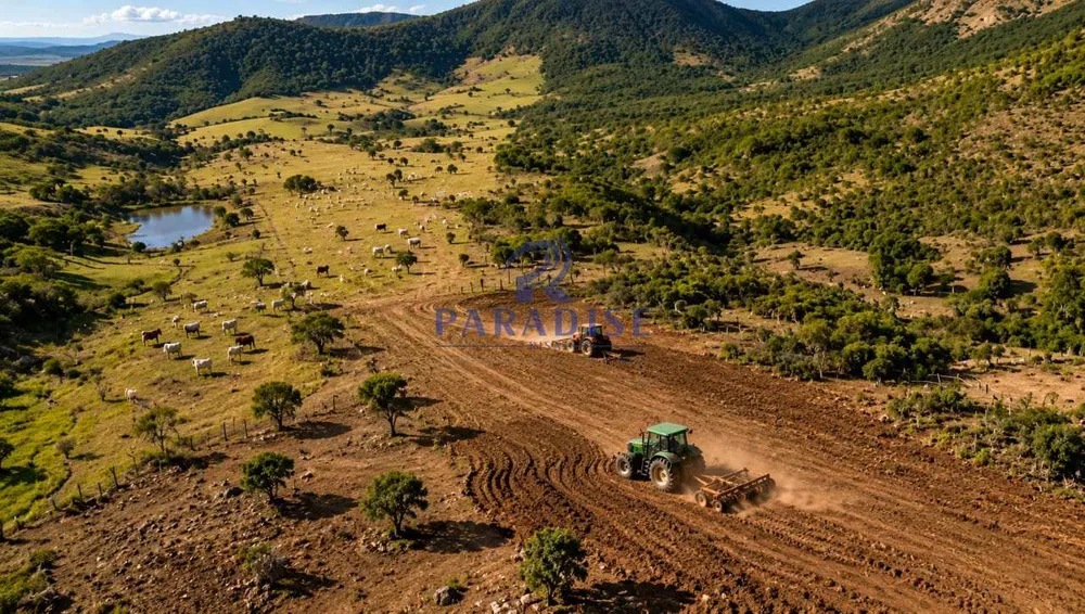Fazenda, 200 m² - Foto 2