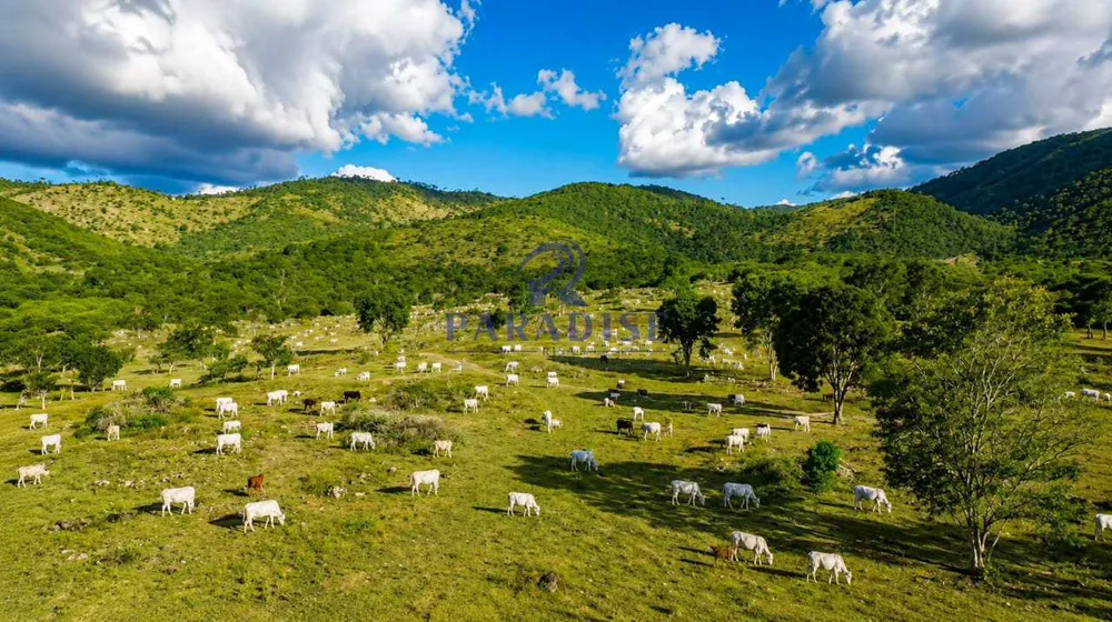 Fazenda, 200 m² - Foto 10