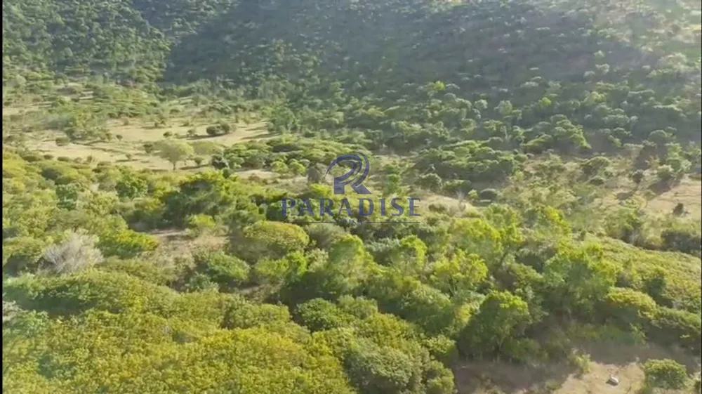 Fazenda, 200 m² - Foto 6
