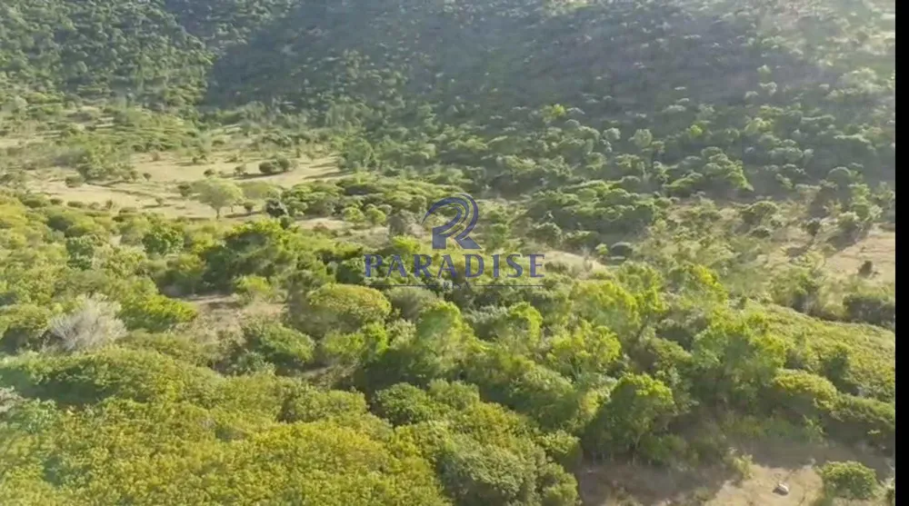 Fazenda, 200 m² - Foto 3