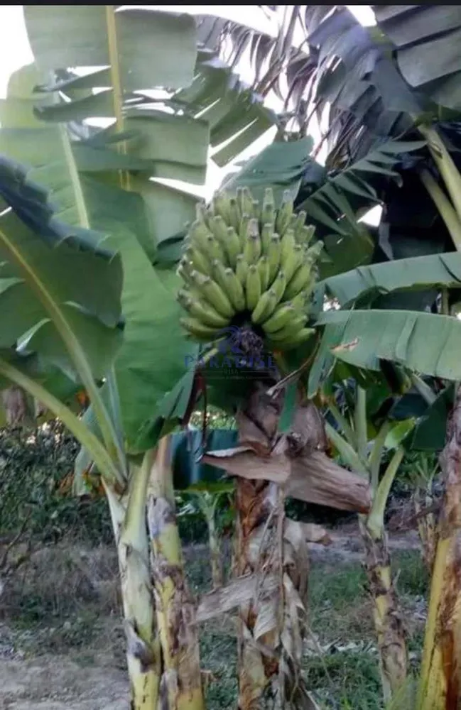 Loteamento e Condomínio, 2 hectares - Foto 7