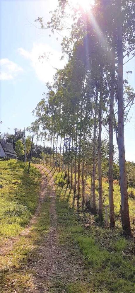 Fazenda à venda, 1610000m² - Foto 19