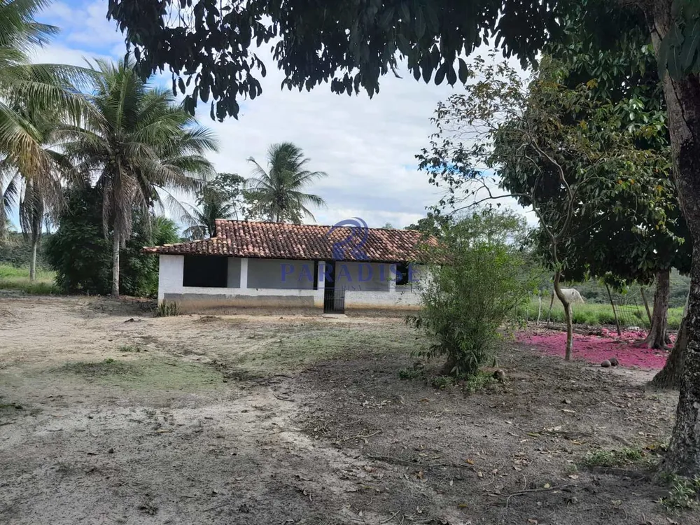Fazenda, 77 hectares - Foto 3
