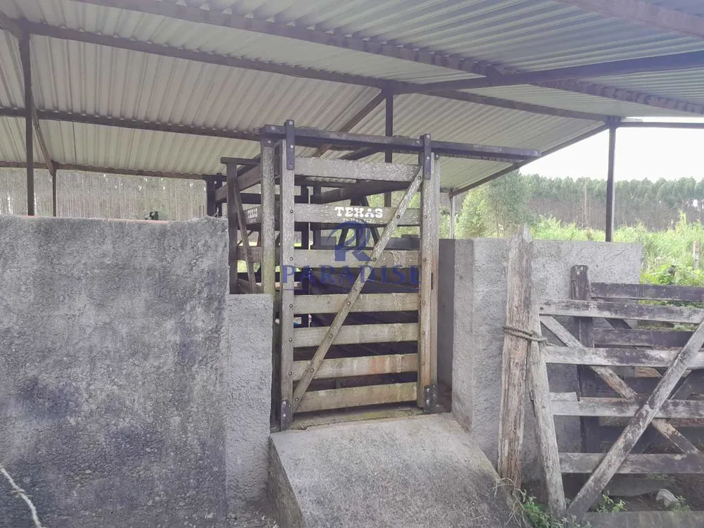 Fazenda, 77 hectares - Foto 8
