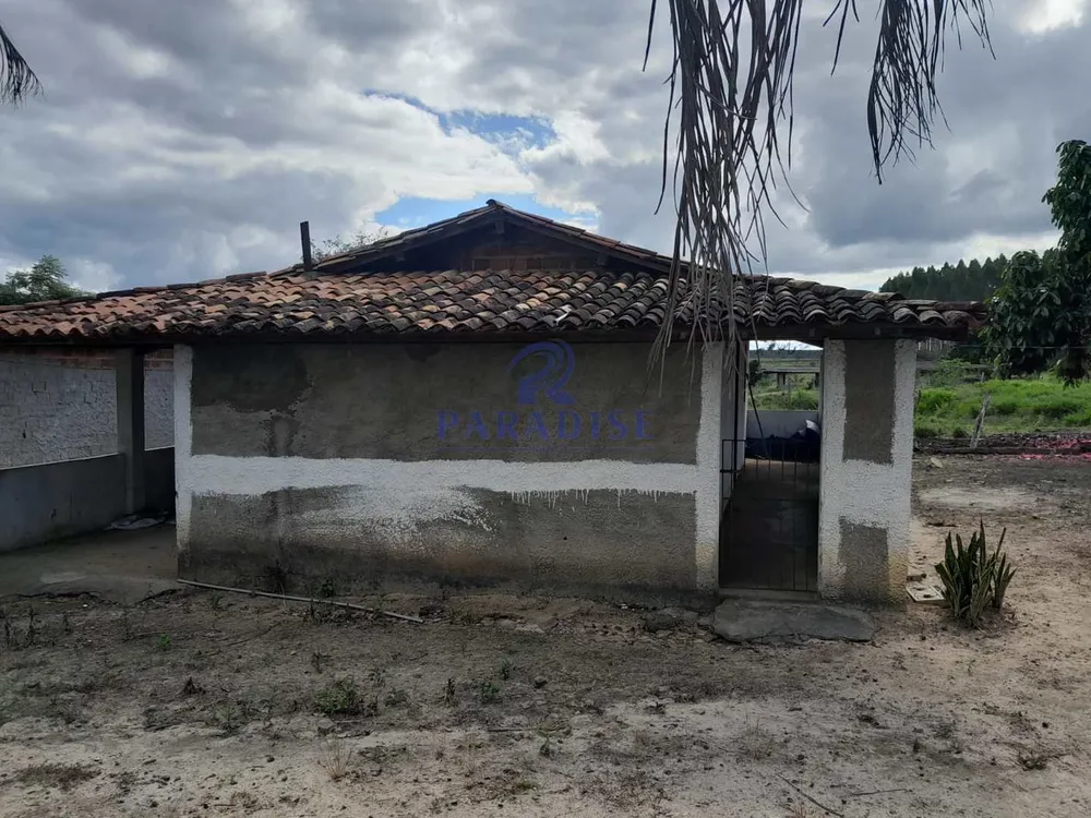 Fazenda, 77 hectares - Foto 5
