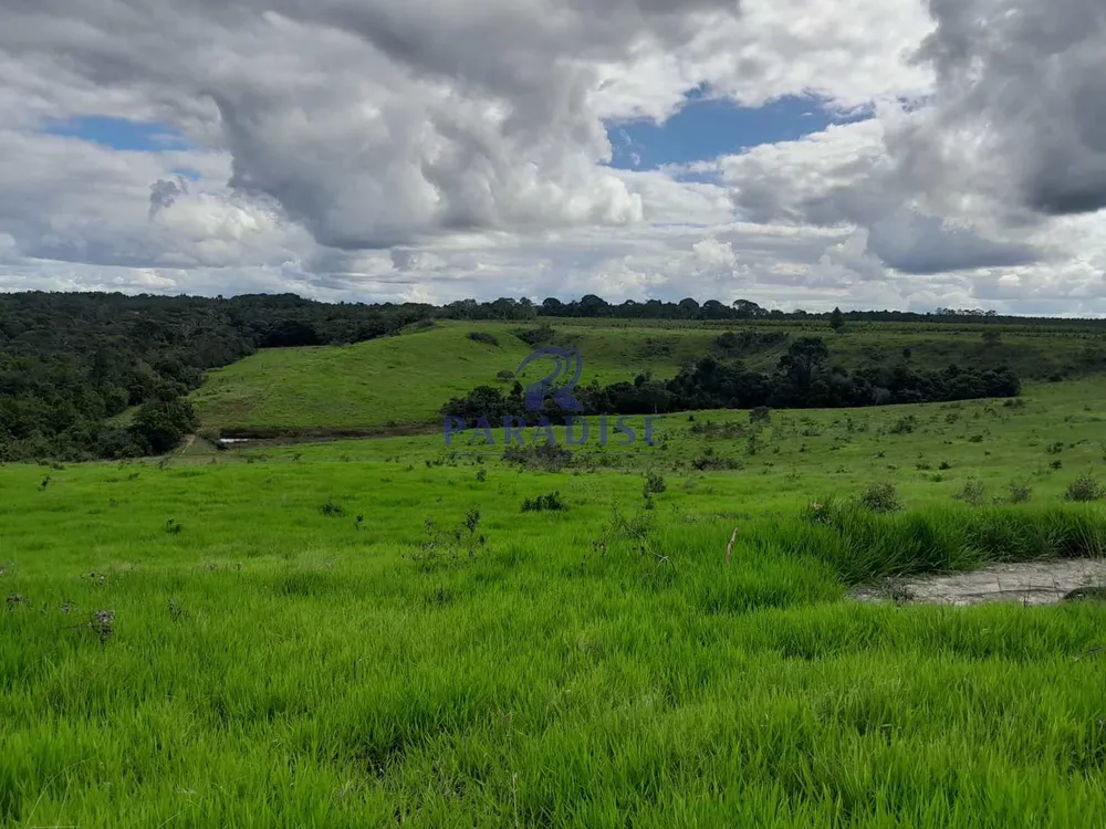 Fazenda, 77 hectares - Foto 1