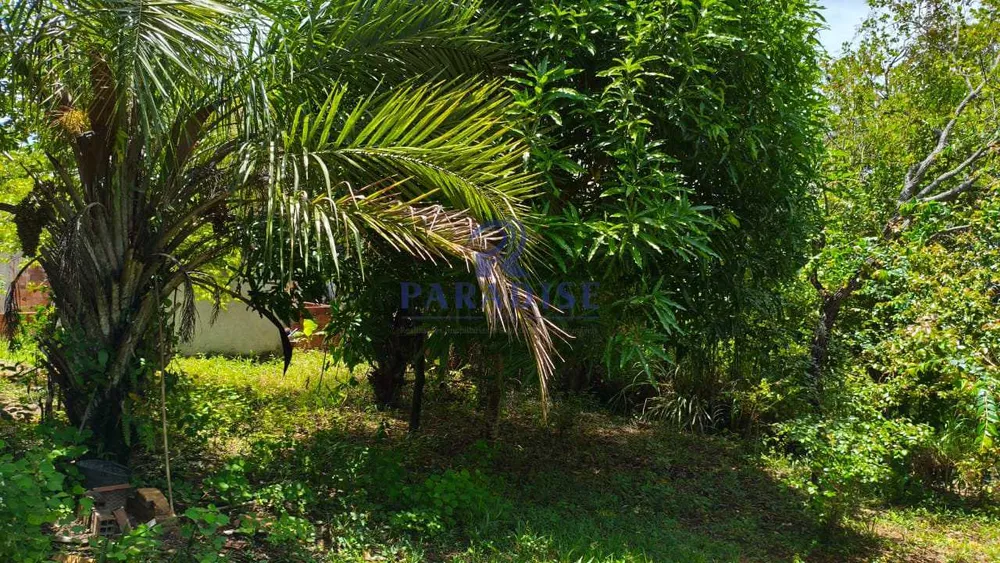Terreno, 300 m² - Foto 8