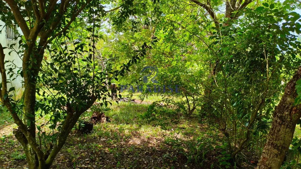 Terreno, 300 m² - Foto 5