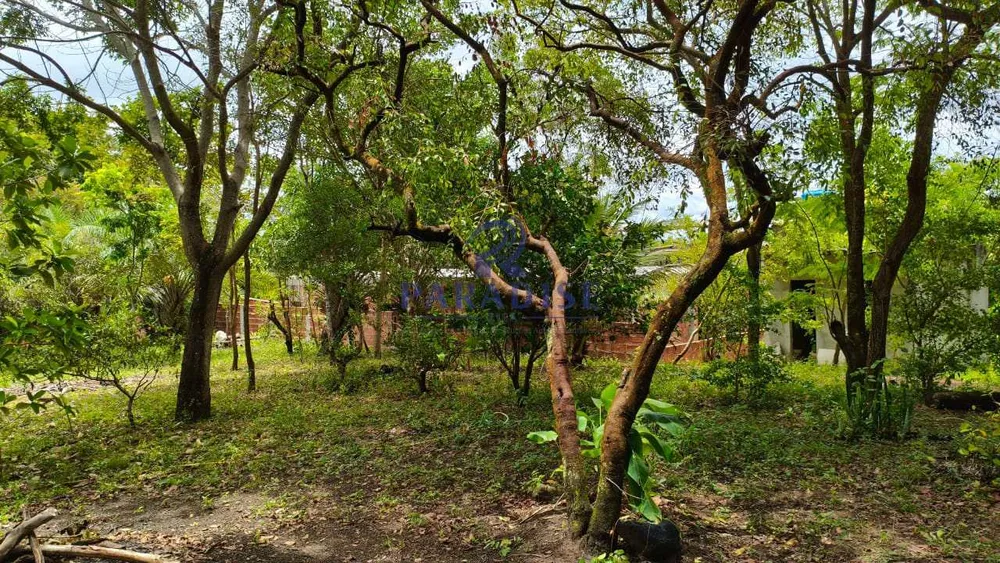 Terreno, 300 m² - Foto 3