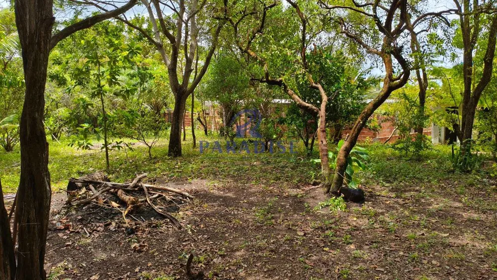 Terreno, 300 m² - Foto 4