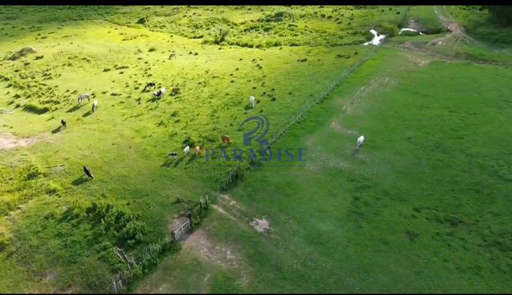 Fazenda, 872 m² - Foto 2