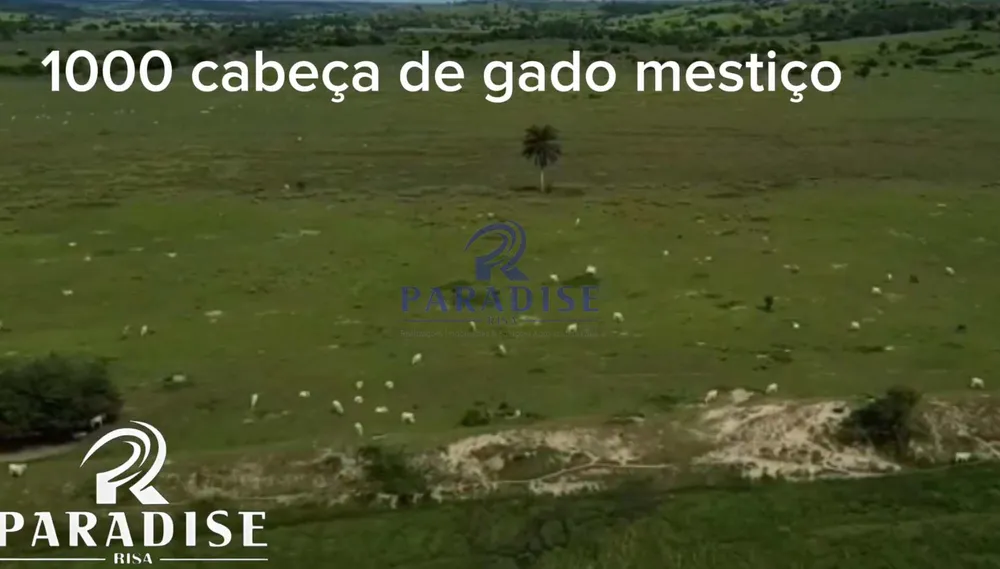 Fazenda, 872 m² - Foto 5