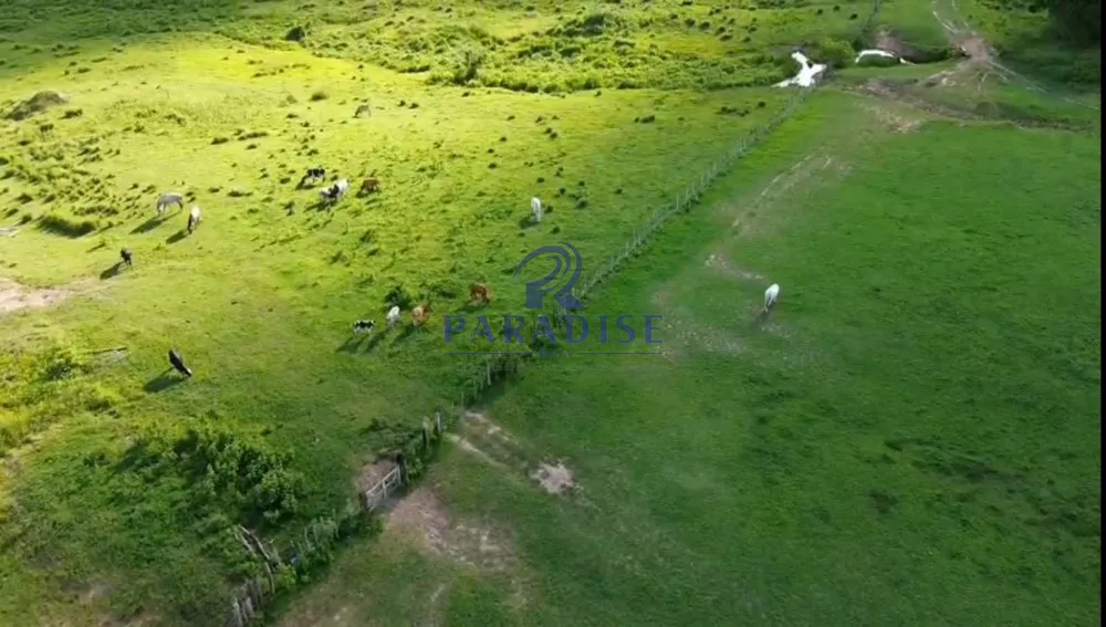 Fazenda, 872 m² - Foto 7