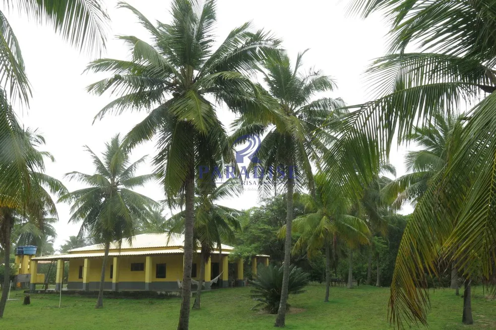 Terreno, 3 hectares - Foto 1