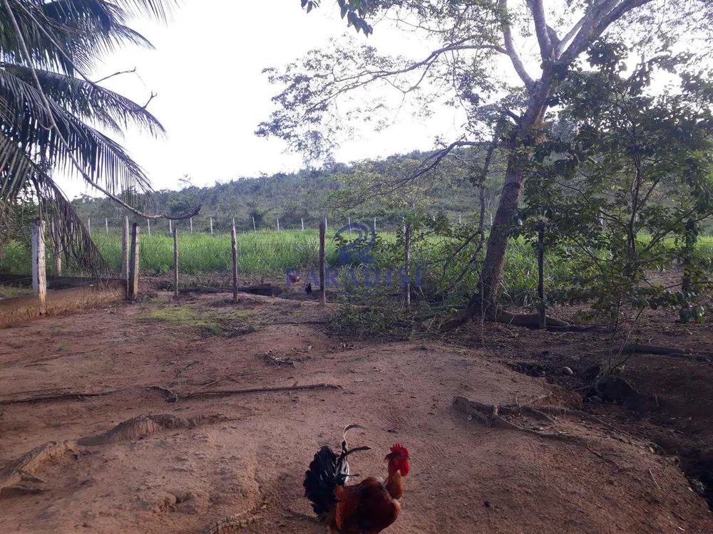 Fazenda, 65 m² - Foto 10