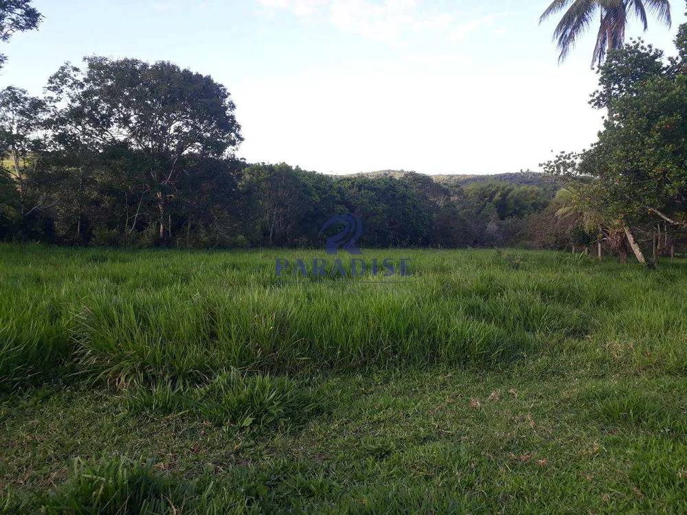 Fazenda, 65 m² - Foto 2
