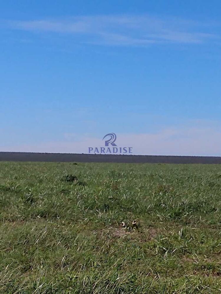 Fazenda à venda, 17799000m² - Foto 7