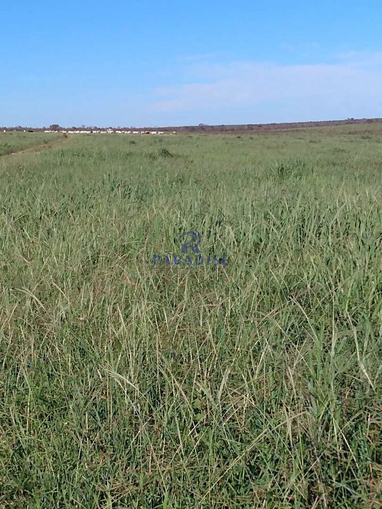 Fazenda à venda, 17799000m² - Foto 8