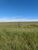 Fazenda, 17799 hectares - Foto 4