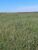 Fazenda, 17799 hectares - Foto 8