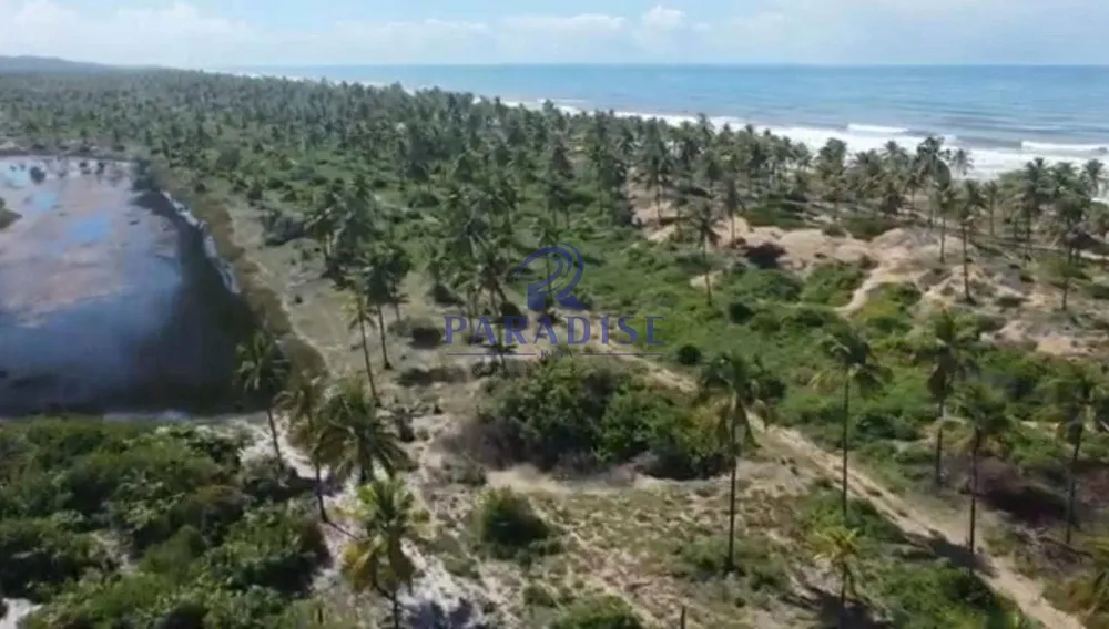 Terreno, 600 hectares - Foto 13