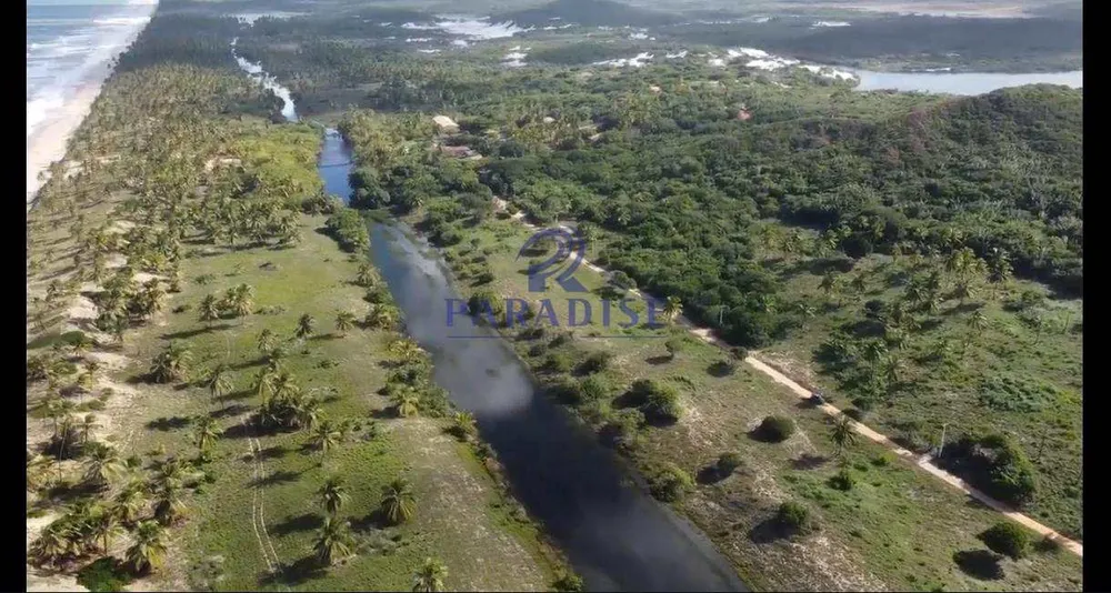 Terreno, 600 hectares - Foto 8