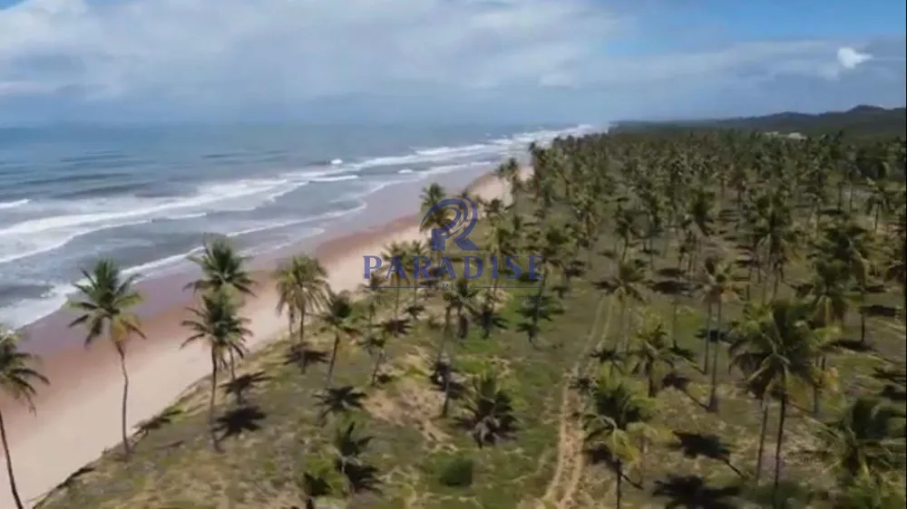 Terreno, 600 hectares - Foto 12