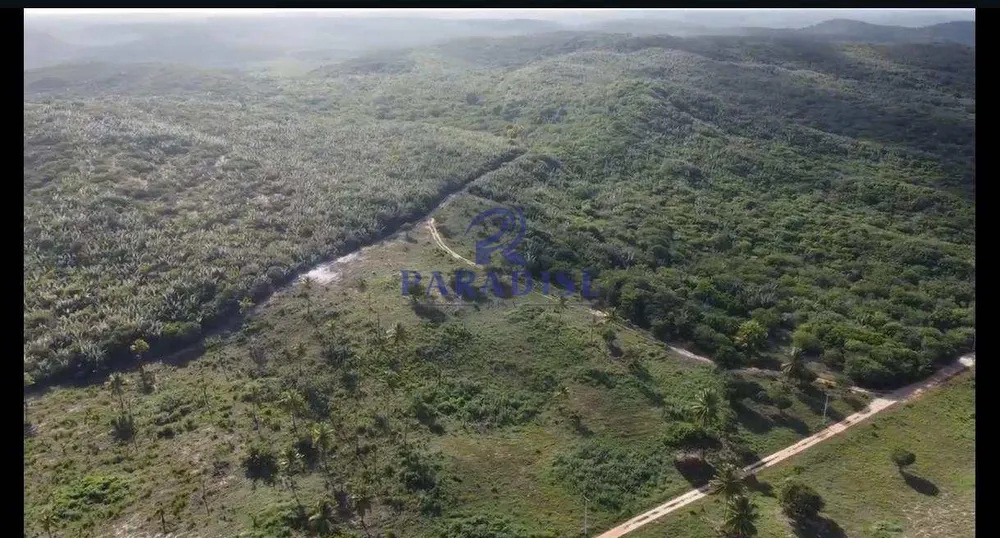 Terreno, 600 hectares - Foto 15