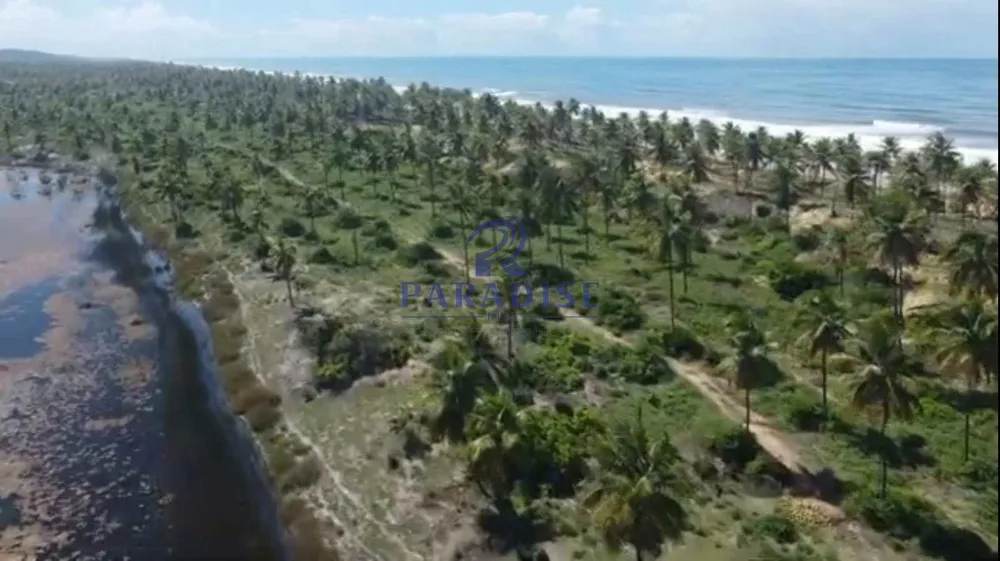 Terreno, 600 hectares - Foto 6