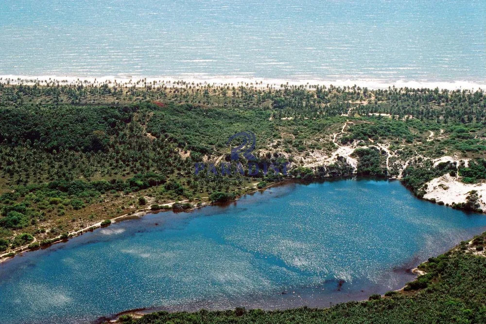 Terreno, 600 hectares - Foto 1