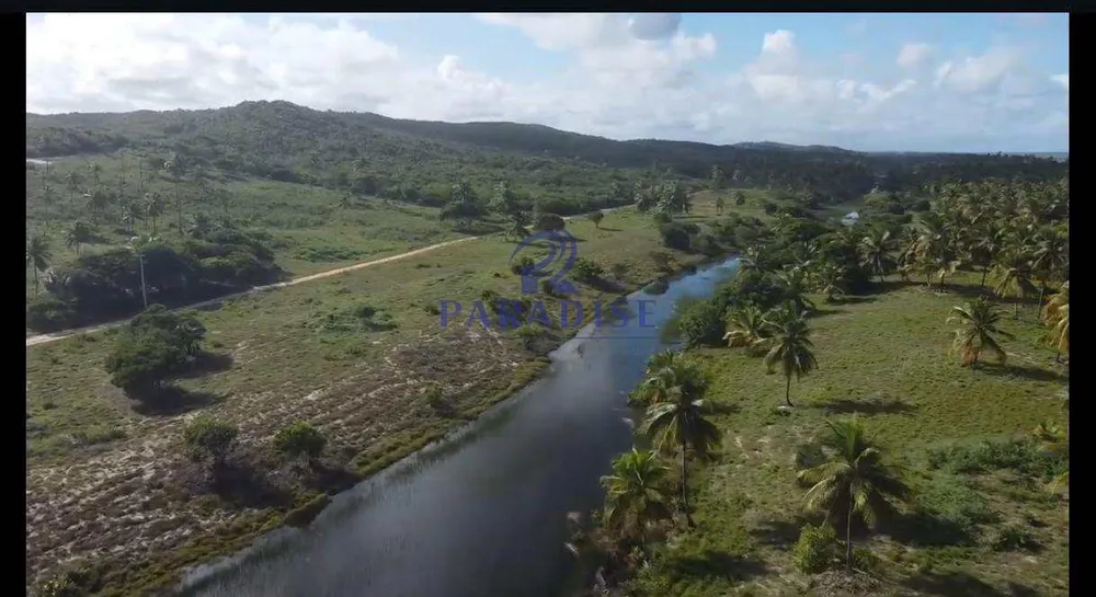 Terreno, 600 hectares - Foto 7