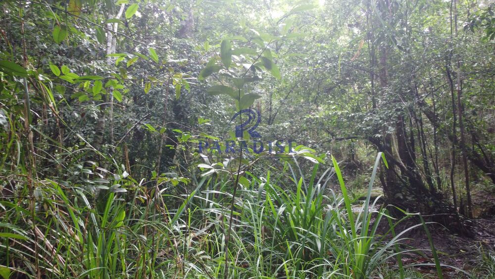 Fazenda, 2 hectares - Foto 3