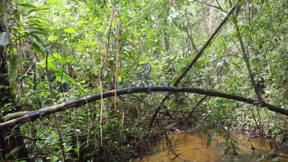 Fazenda, 2 hectares - Foto 4