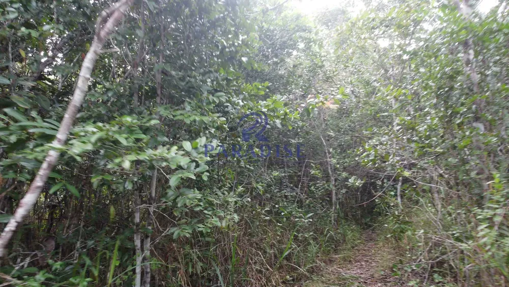 Fazenda, 2 hectares - Foto 8