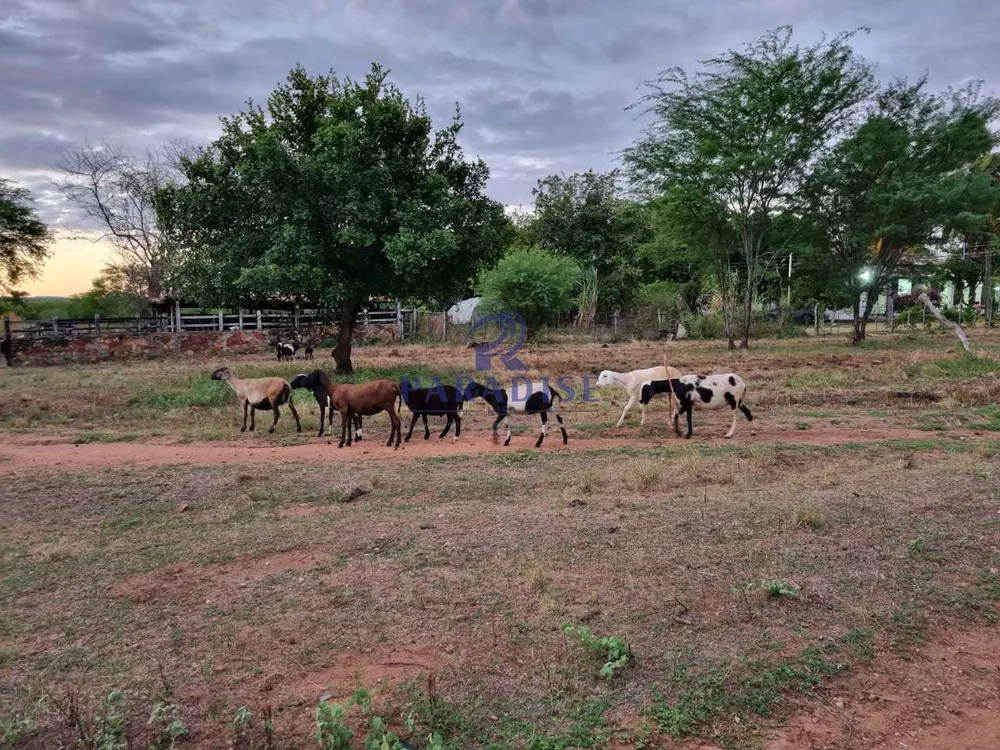 Fazenda, 255 hectares - Foto 1