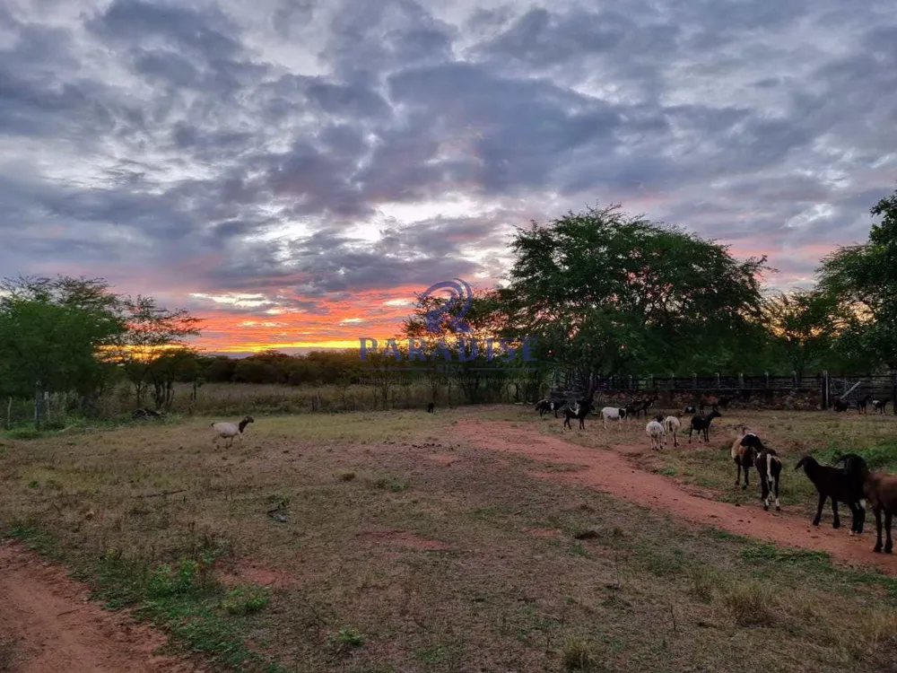 Fazenda, 255 hectares - Foto 3