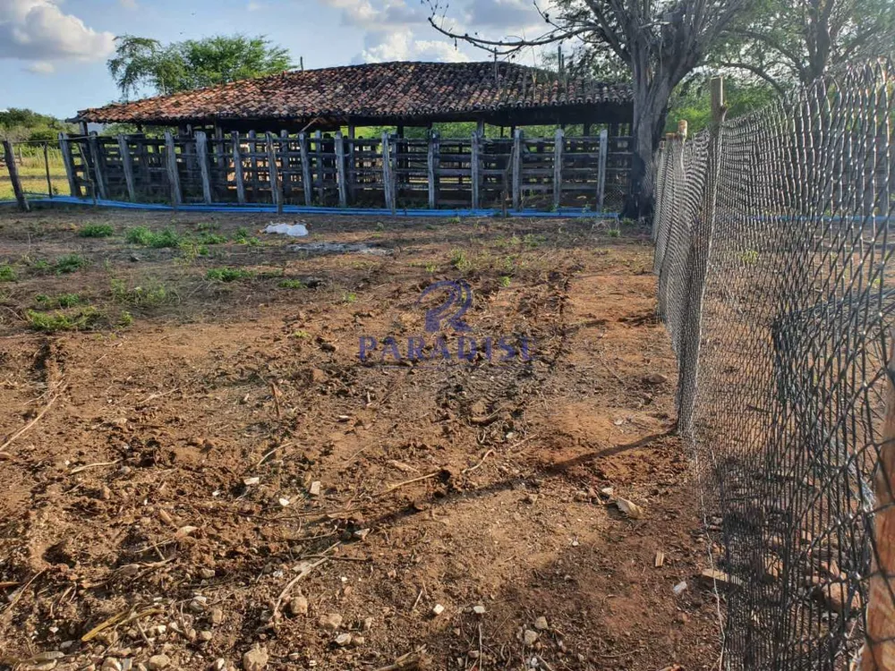 Fazenda, 255 hectares - Foto 7