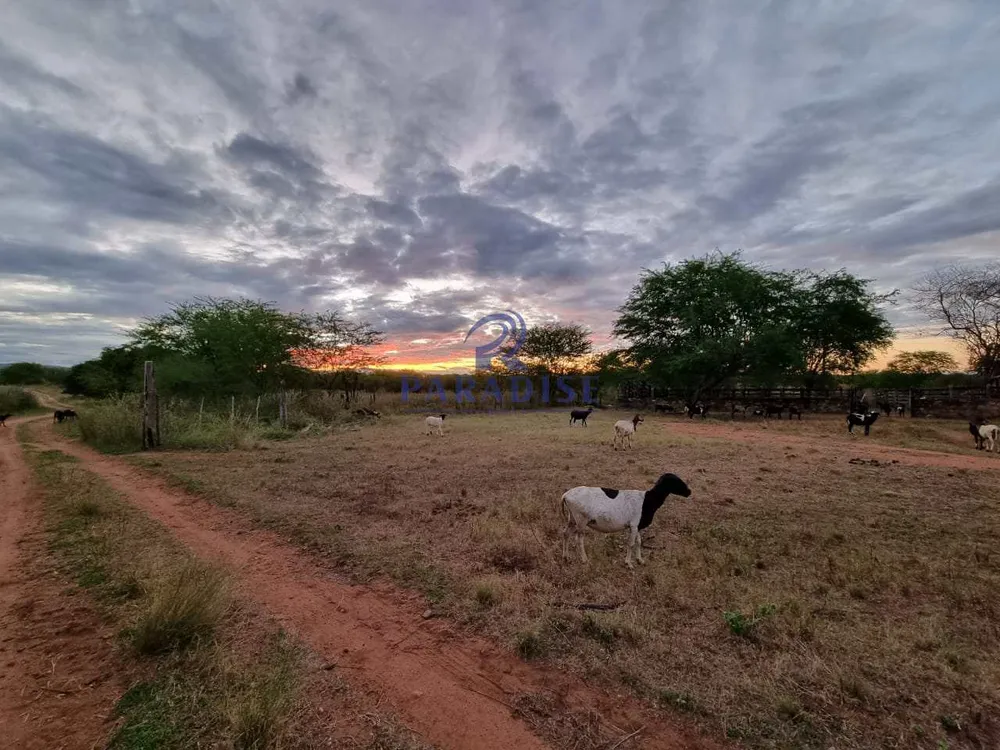 Fazenda, 255 hectares - Foto 4