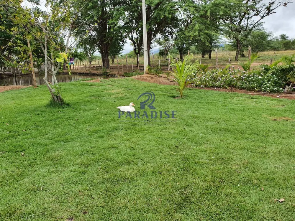 Fazenda, 255 hectares - Foto 8
