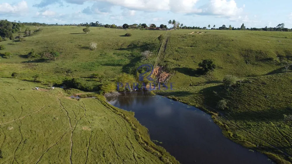 Fazenda, 261 hectares - Foto 12