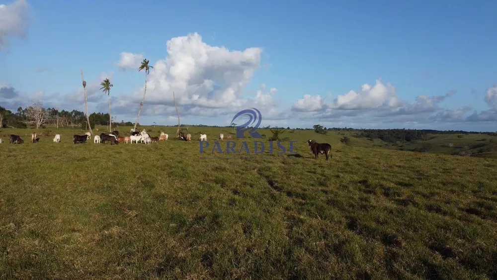 Fazenda, 261 hectares - Foto 13