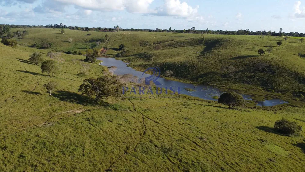 Fazenda, 261 hectares - Foto 6