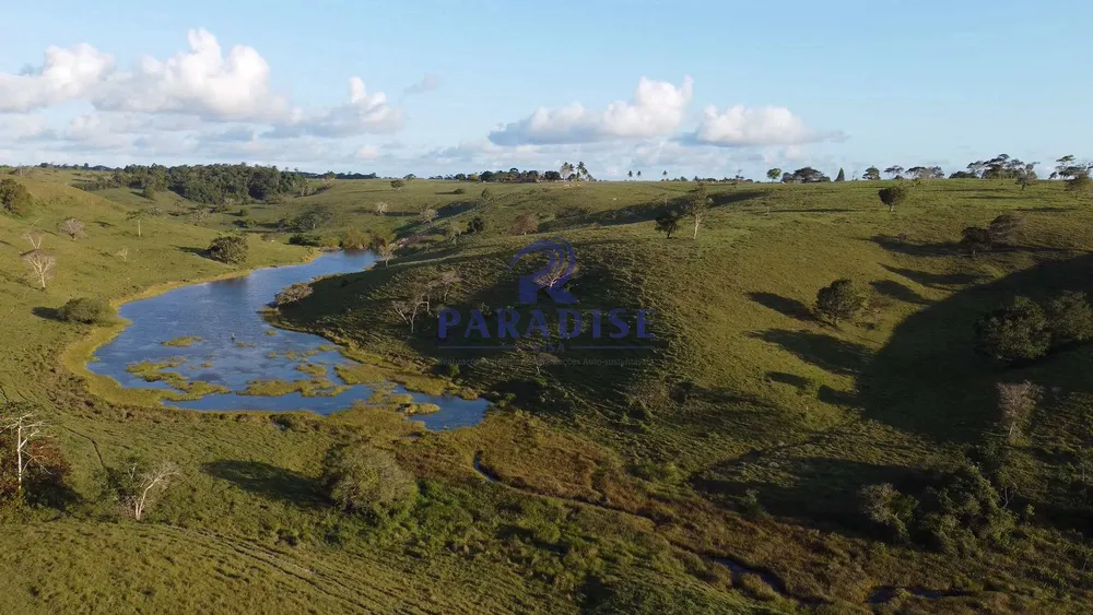 Fazenda, 261 hectares - Foto 14