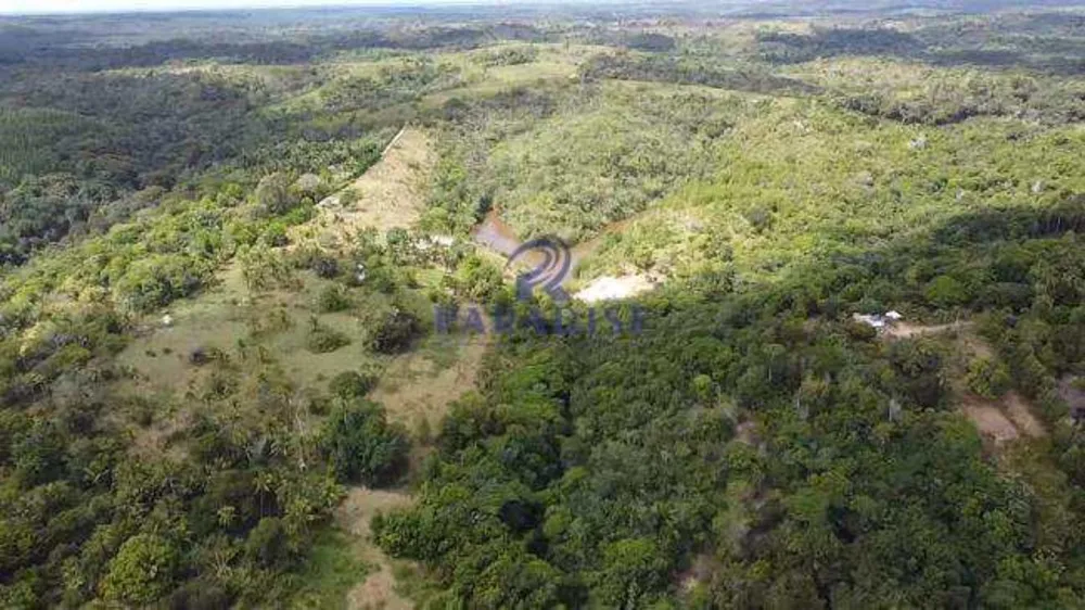 Fazenda - Foto 9