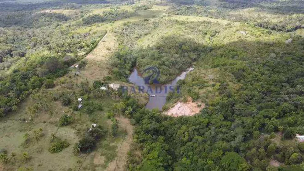 Fazenda - Foto 11