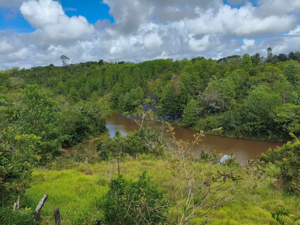 Fazenda - Foto 4