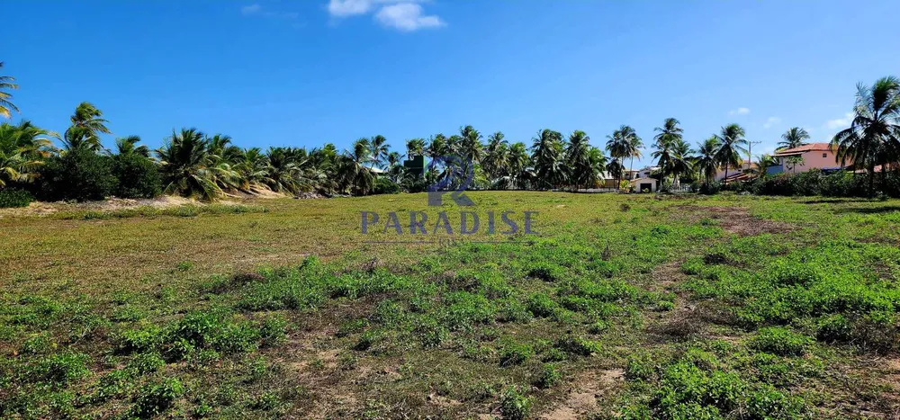 Terreno, 2 hectares - Foto 11